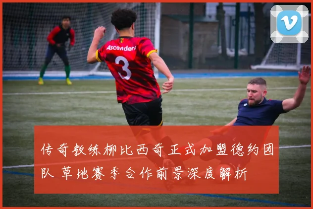 传奇教练柳比西奇正式加盟德约团队 草地赛季合作前景深度解析