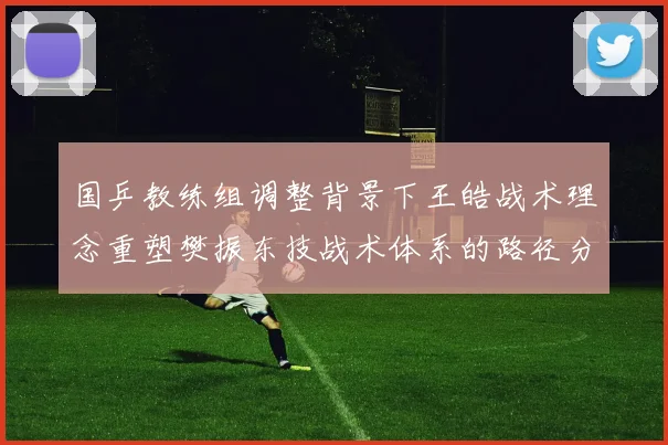 国乒教练组调整背景下王皓战术理念重塑樊振东技战术体系的路径分析